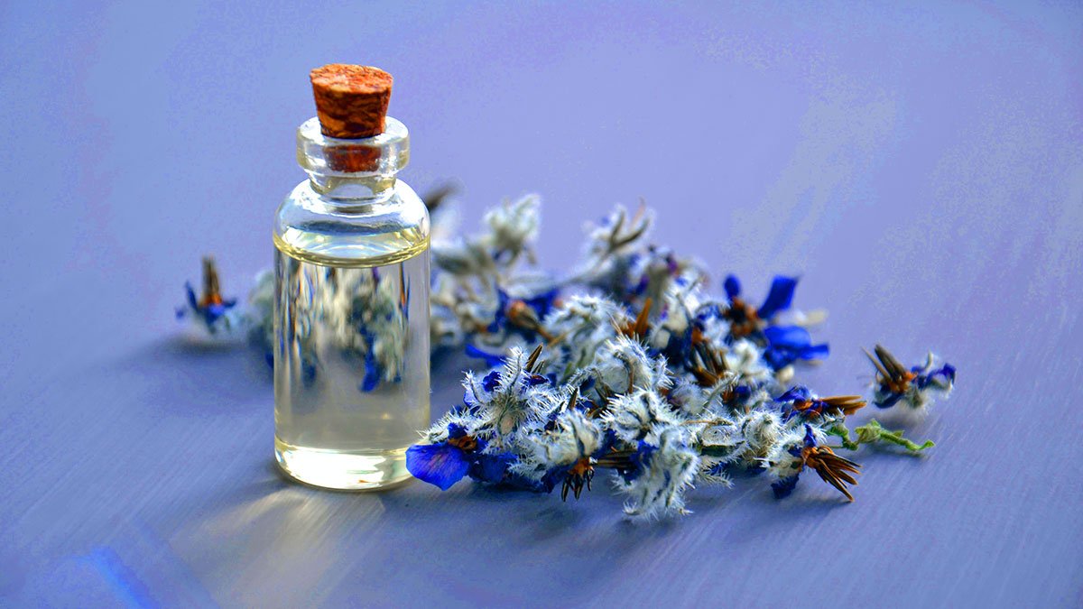 Melhores perfumes natura