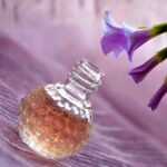 Melhores perfumes da Eudora