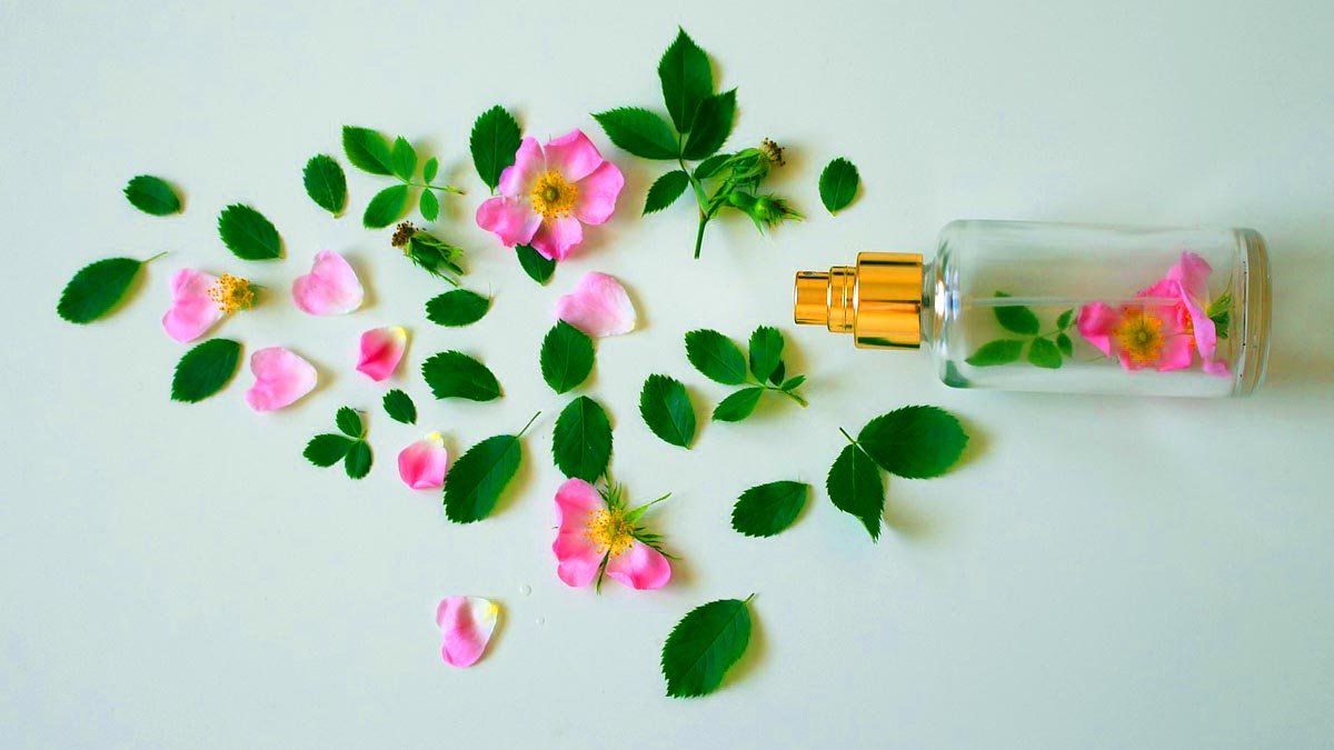 melhores perfumes