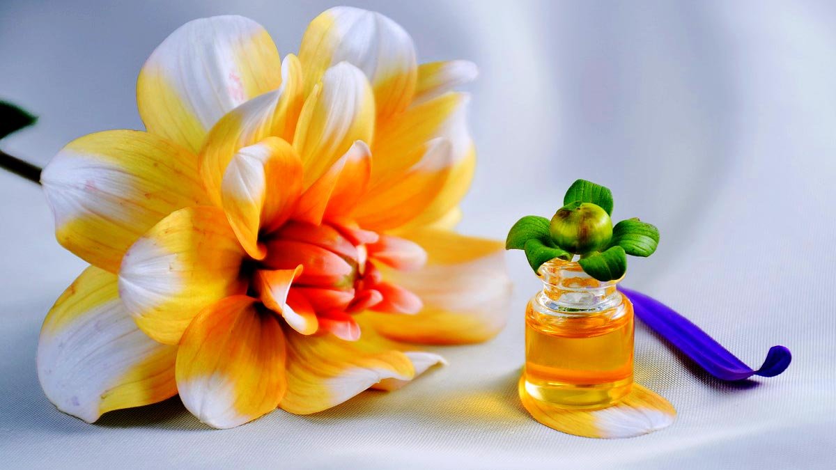 melhores perfumes jequiti