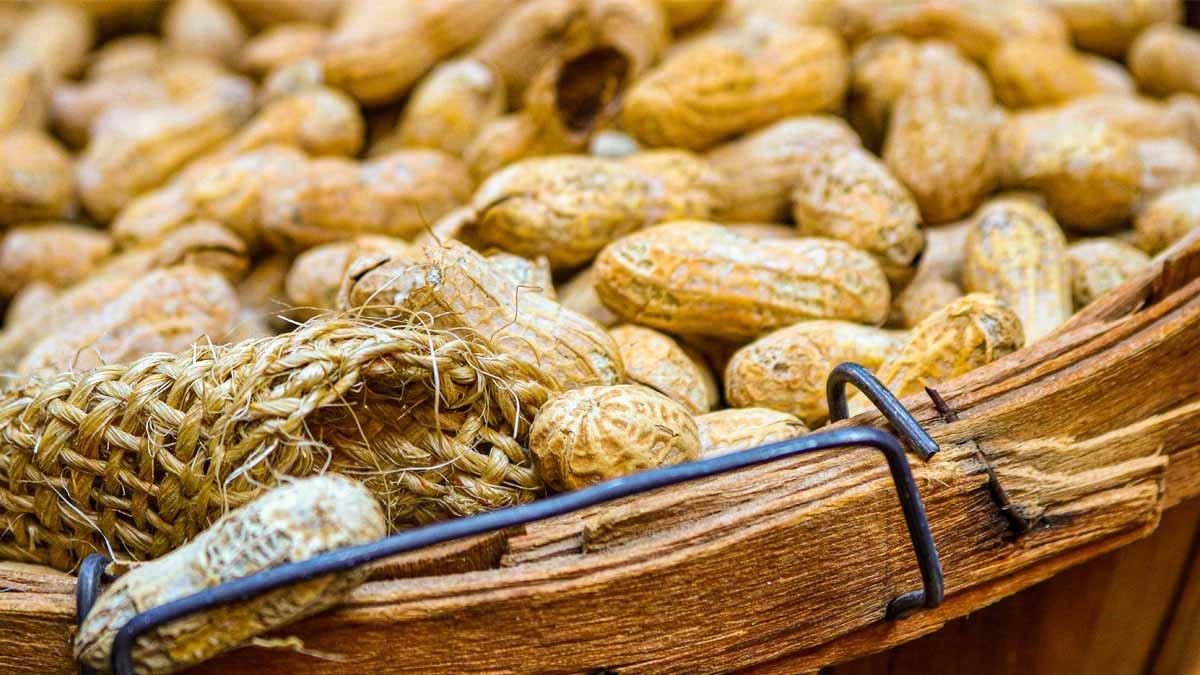 vitaminas amendoim seu encanto