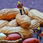 melhores pastas de amendoim - amendoim com casca e miniaturas