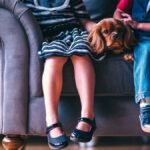 melhores impermeabilizantes para sofá seu encanto