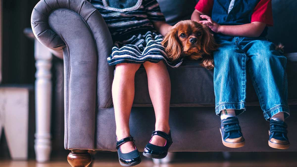 melhores impermeabilizantes para sofá seu encanto